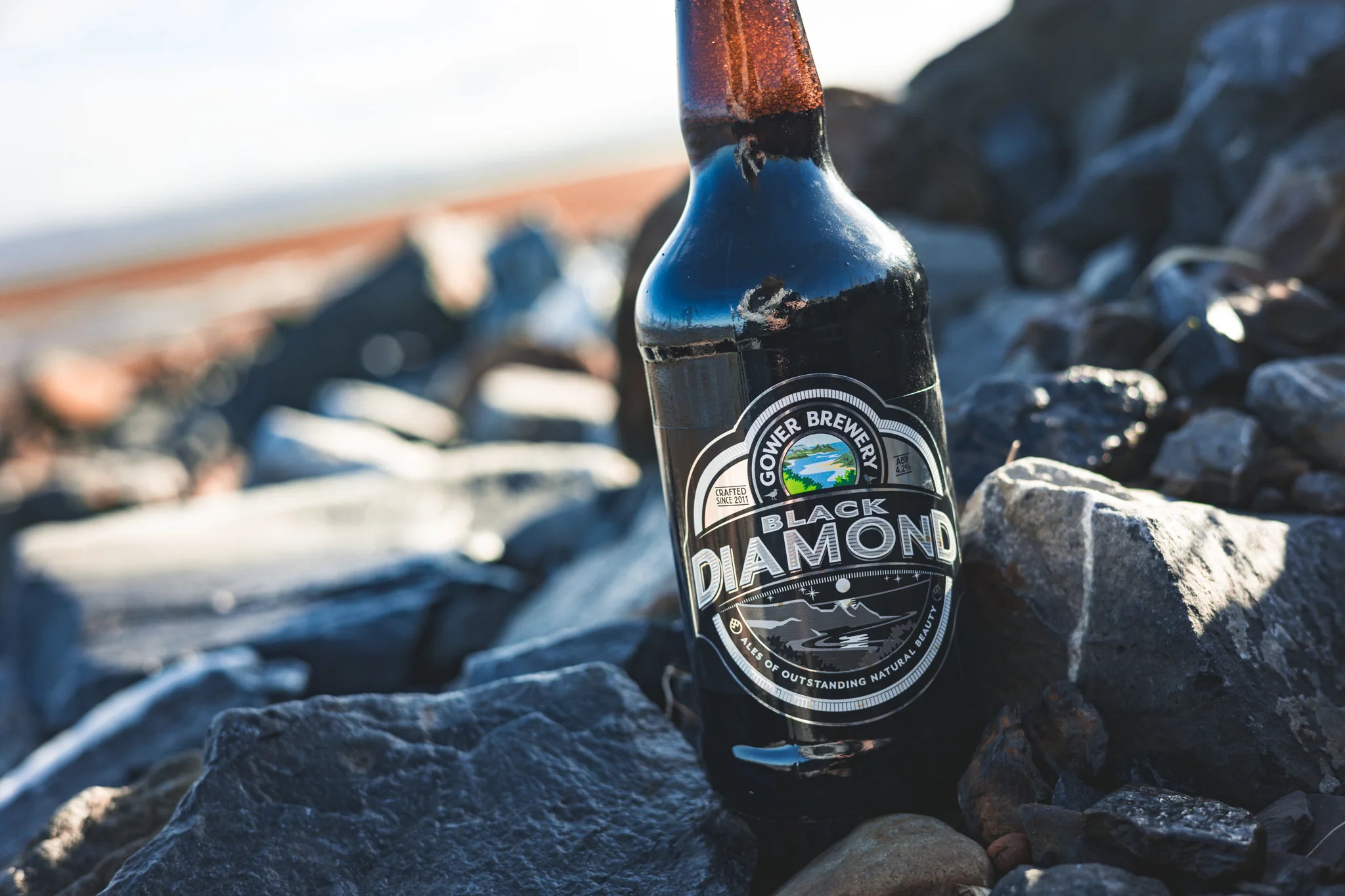 Black Diamond Porter - Image 3