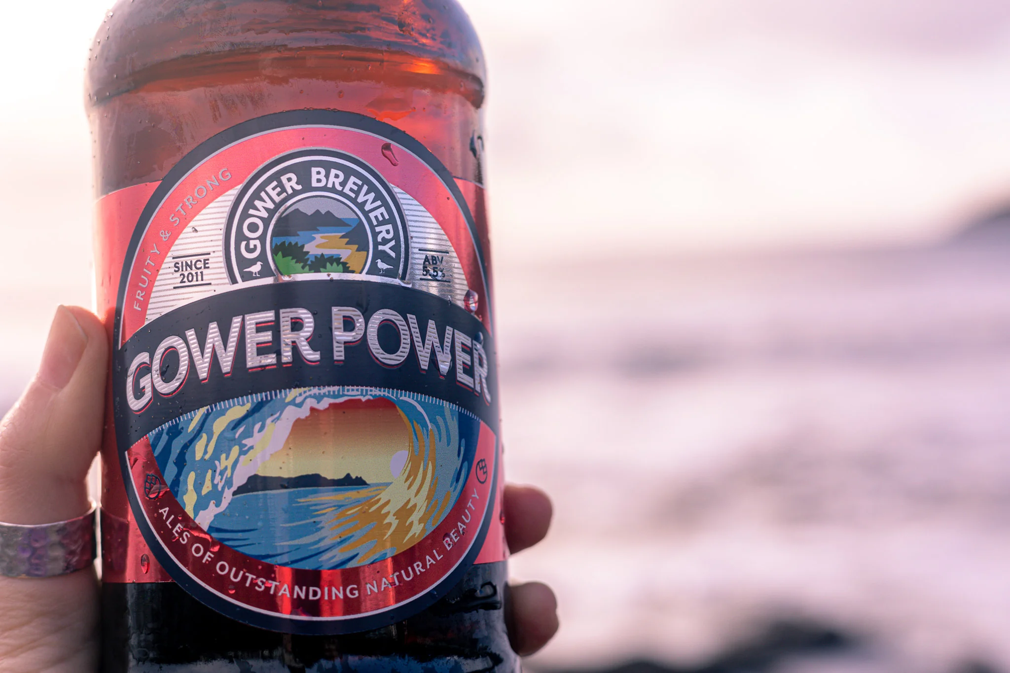 Gower Power Amber Ale - Image 3