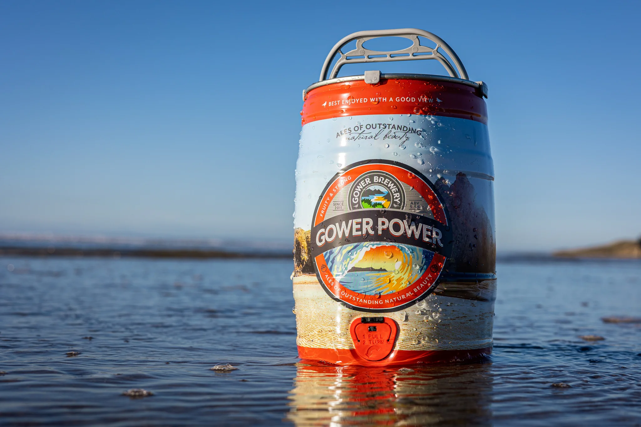 Gower Power Mini Keg - Image 3