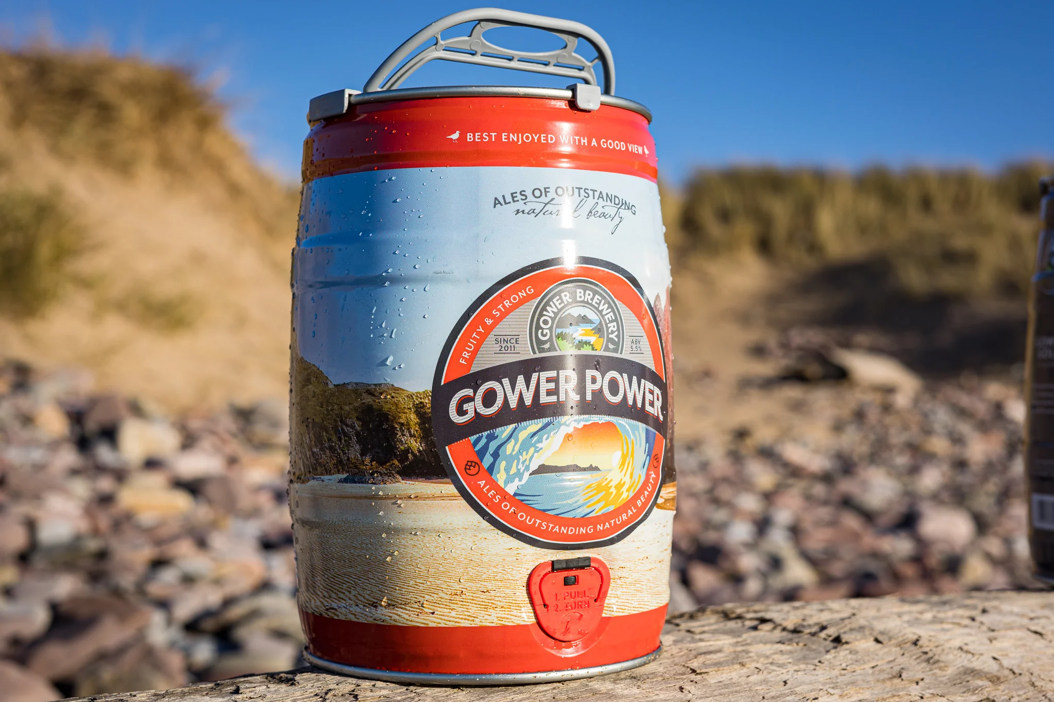 Gower Power Mini Keg - Image 4